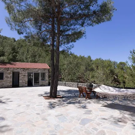 Forest Casa vacanze Palaiomylos